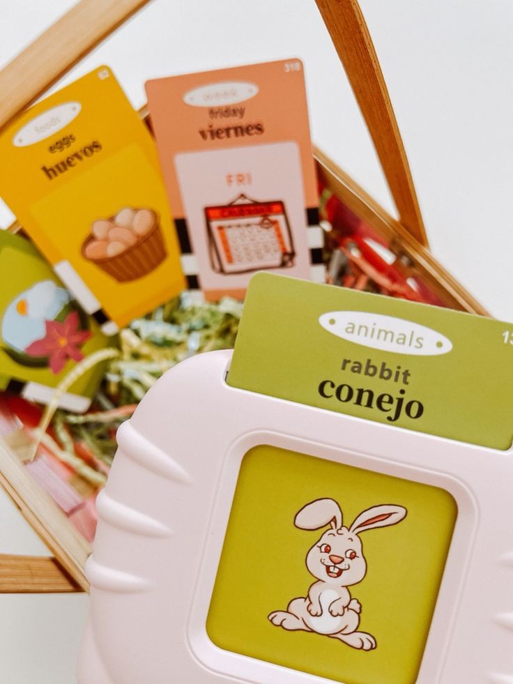 Rechargeable Educational Learning Talking Flash Cards for Kids | Montessori Toys for Boys & Girls | Baby Early Learning Toy🪴